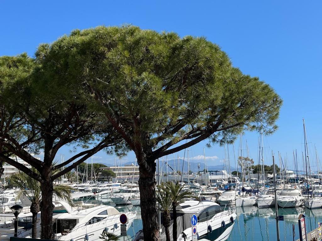 4 Pers , 100M De La Plage Marina Baie Des Anges French Riviera فينوف لوبيه المظهر الخارجي الصورة